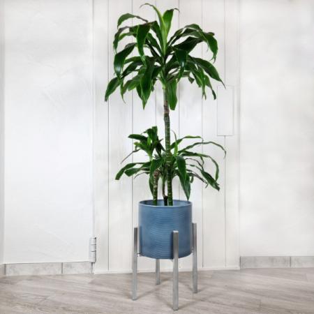 Blumenständer aus Edelstahl | Pflanzenständer Blumentopfständer Blumenhocker V2A | made in Germany